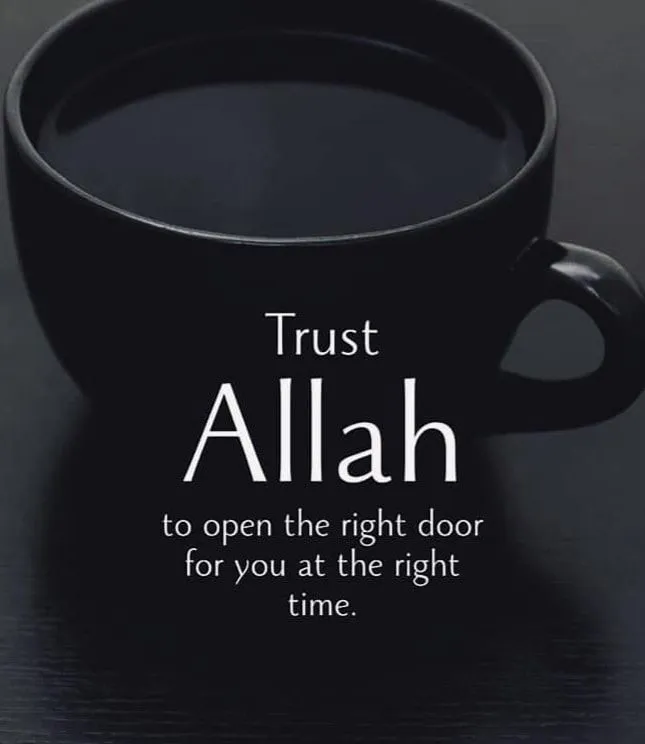 Home 8 Allah quotes