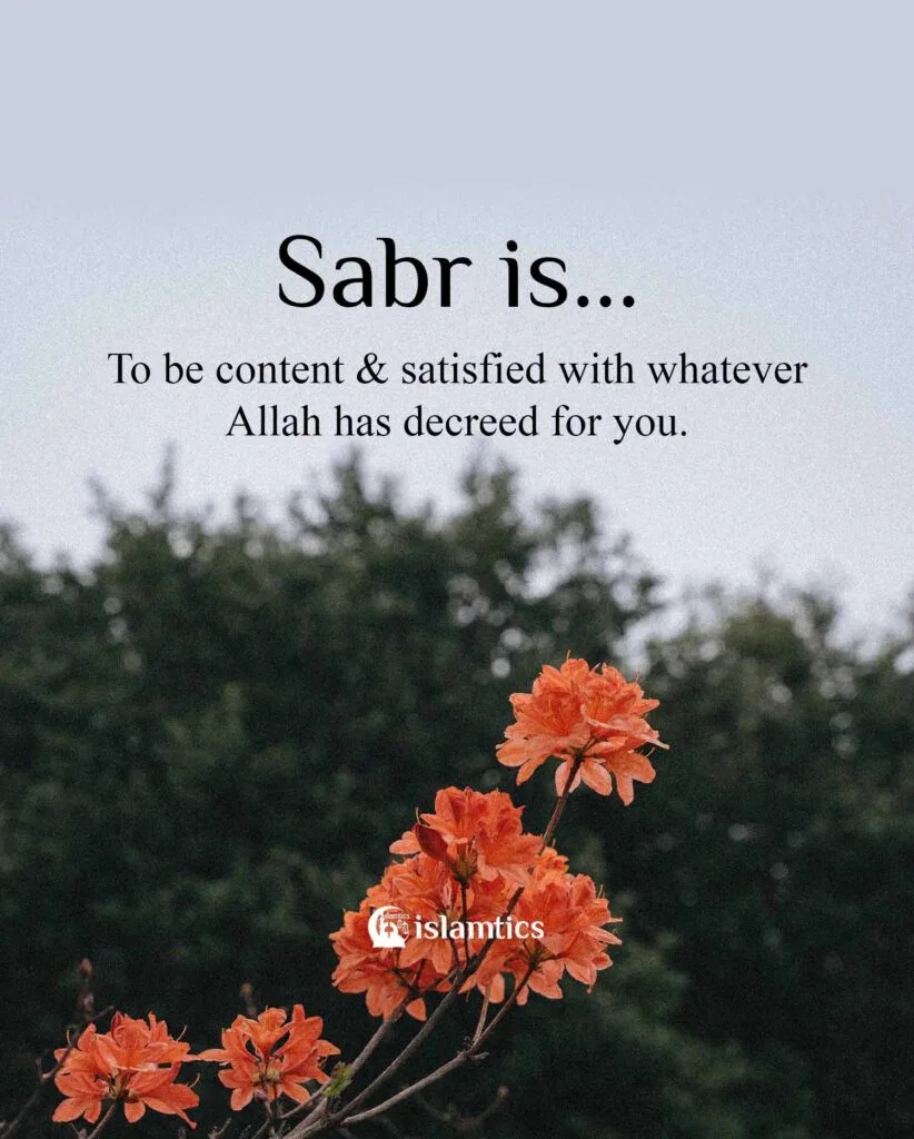 Home 6 Sabr in Islam